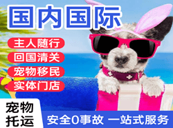 遥墙航空快运国际宠物托运 【国